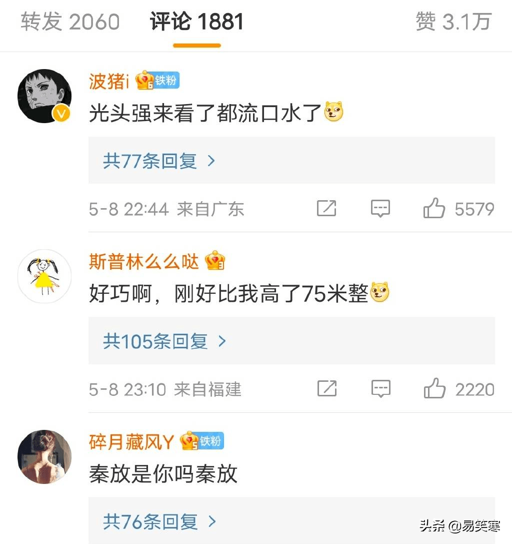 76.8米！西藏发现中国大陆已知最高的树，成名副其实的新“树王” 第7张