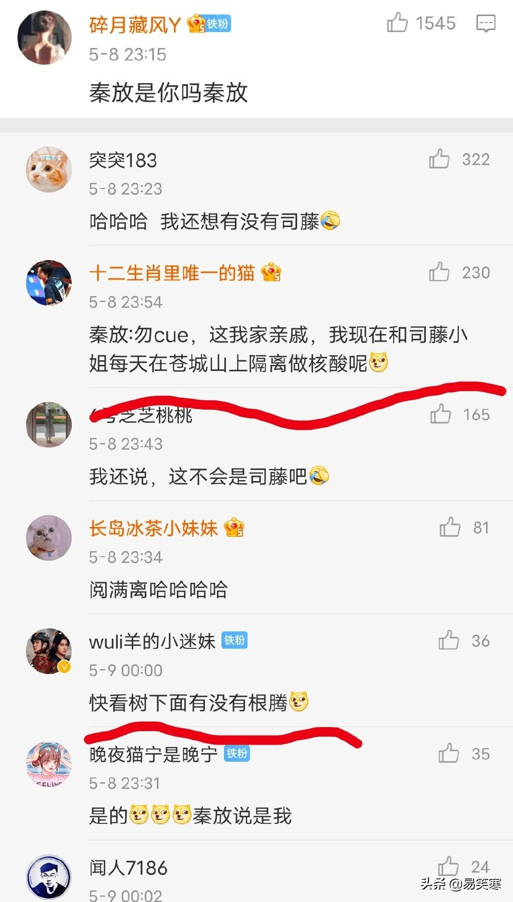76.8米！西藏发现中国大陆已知最高的树，成名副其实的新“树王” 第9张