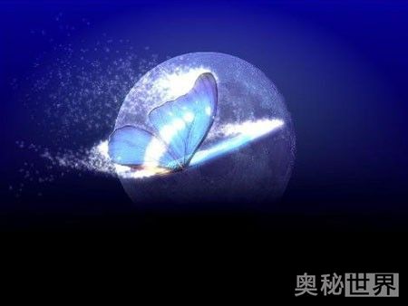 蝴蝶效应是什么意思,什么是蝴蝶效应 第1张