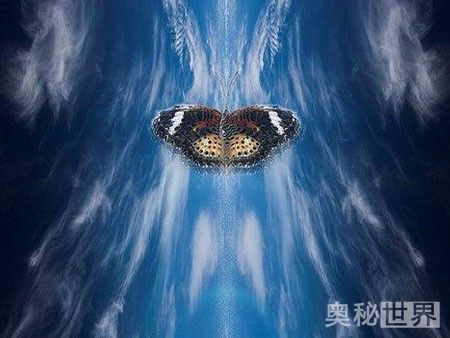 蝴蝶效应是什么意思,什么是蝴蝶效应 第9张