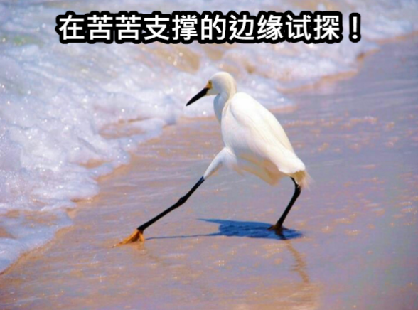 在流量大厂的围攻下，有人希望这个20多岁的老技术复活 第13张