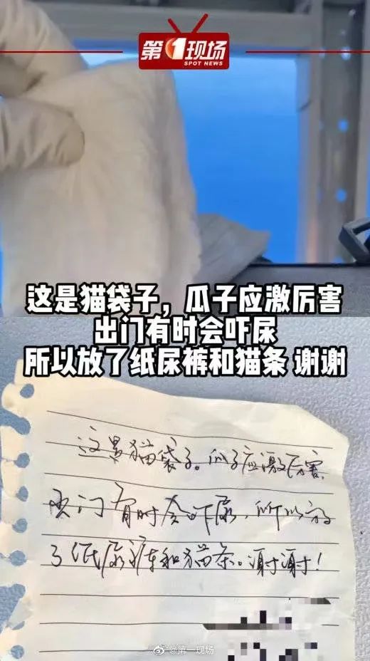 快抄作业！全国首个8500㎡“宠物方舱”已建成，并且免费 第7张