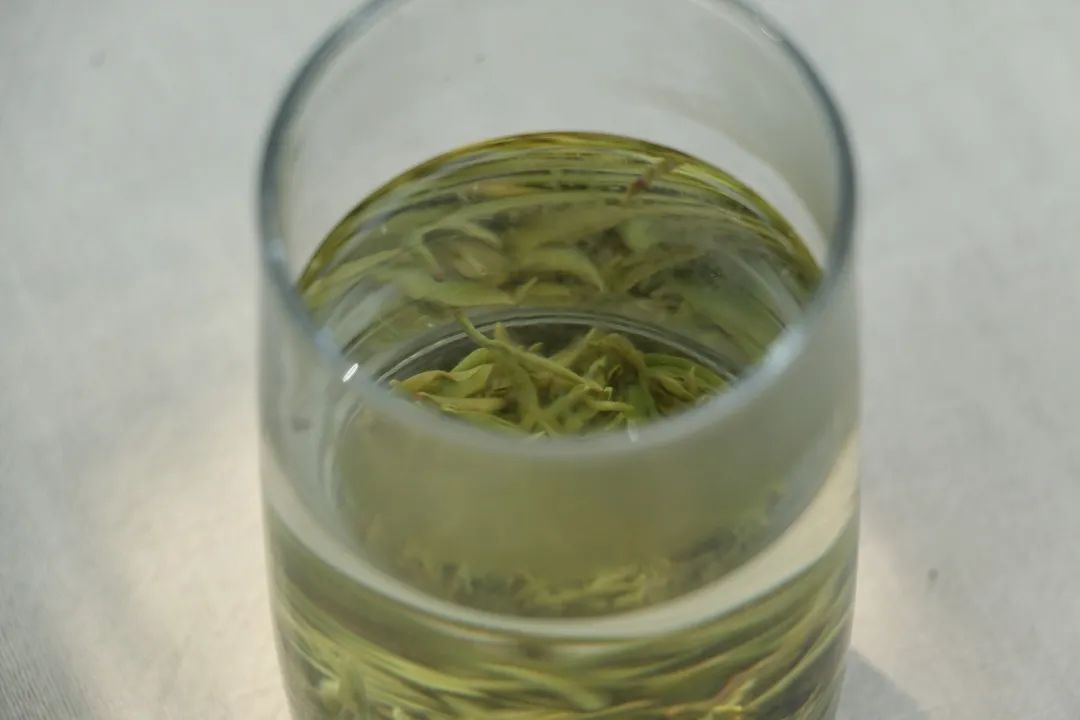 新茶上市，3招教你区分买到的是新茶还是陈茶 第9张