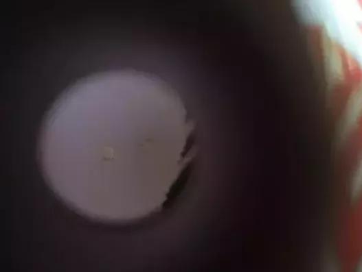茅台打孔酒被换上假酒后，真酒去了哪里？又该如何鉴别？ 第15张