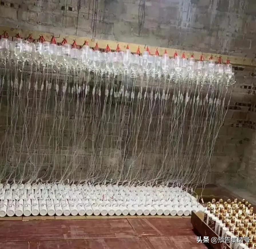 买204瓶茅台却有61瓶打孔酒！如何分辨打孔酒？ 第1张