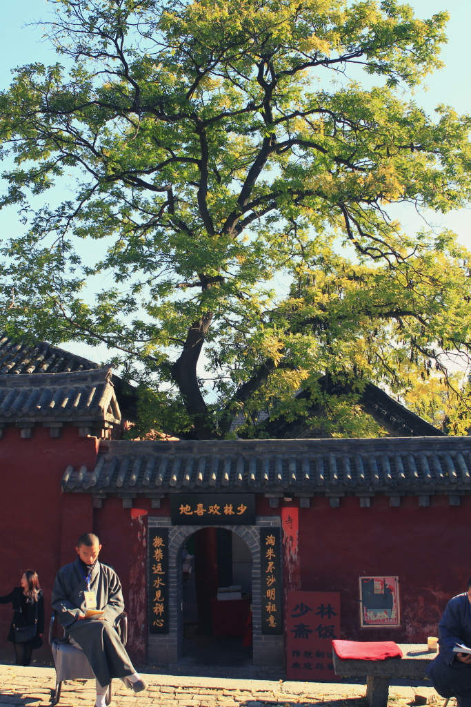 史无前例的突破：少林寺和尚不读佛经，毅然决然踏足房地产江湖？ 第1张