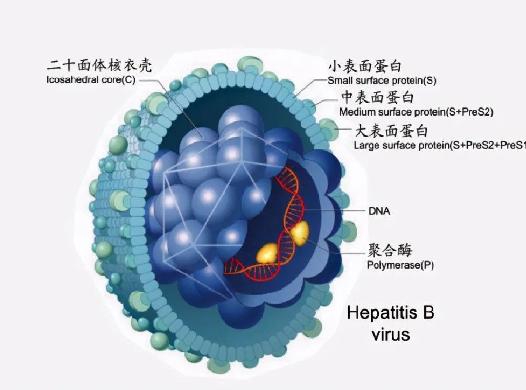 人类基因组测序达成100%，意味着什么？潘多拉魔盒真被打开了吗？ 第5张