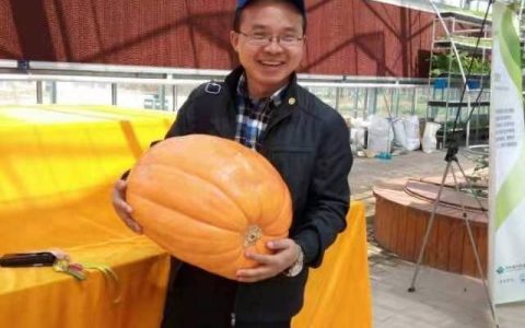 我，80后创业达人，曾创出无数第一，却因一个失误，如今负债累累