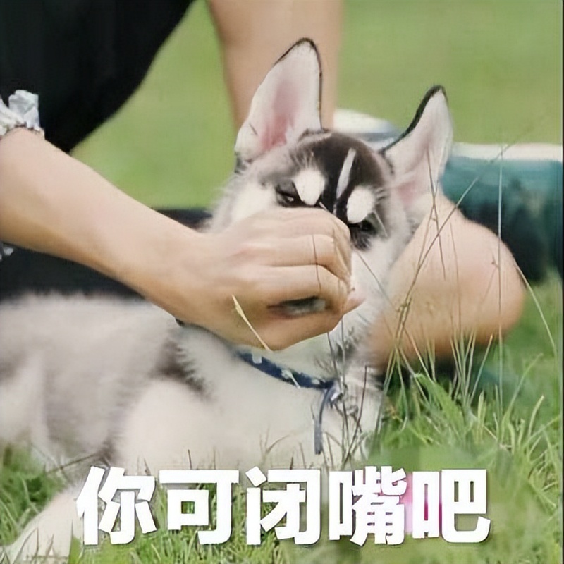 专家提议：低收入者可以把闲置的房子租出去，用房租来提高收益 第7张