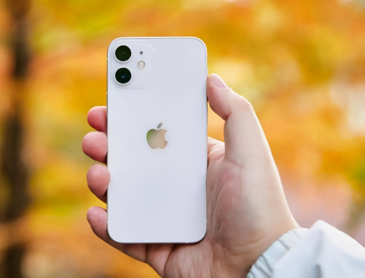 全球畅销手机排行：华为全军覆没，苹果占据7席，iPhone12第一 第3张