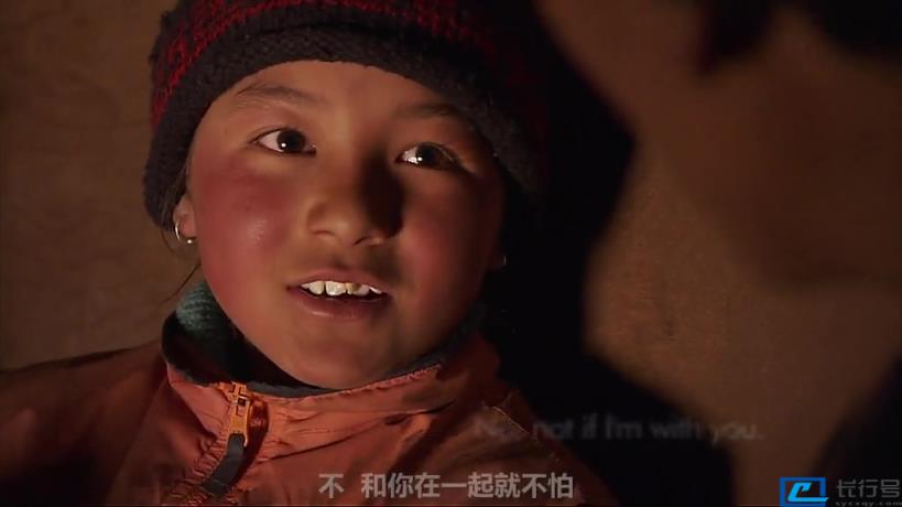 全球十大必看纪录片(十大顶级经典纪录片) 第23张
