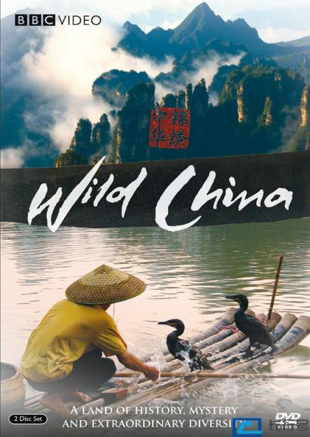 全球十大必看纪录片(十大顶级经典纪录片) 第29张