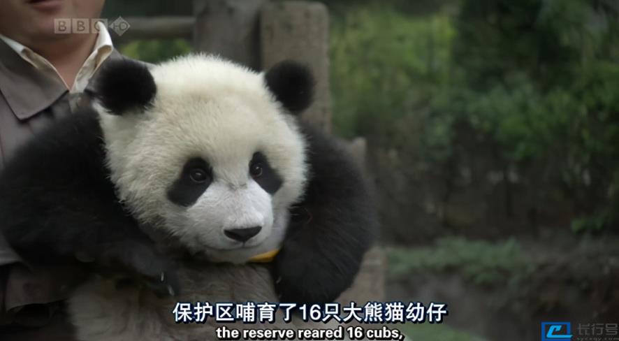全球十大必看纪录片(十大顶级经典纪录片) 第31张