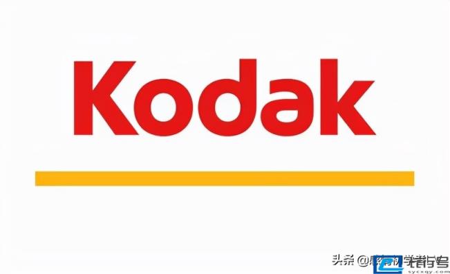 世界十大顶级相机品牌(单反数码相机十大品牌排行榜) 第15张