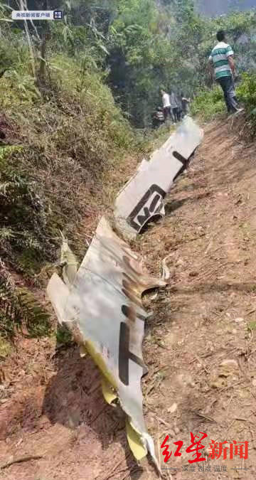 一架搭载132人客机在广西藤县坠毁，有目击者称飞机没冒烟没着火，就直直的往下掉 第1张