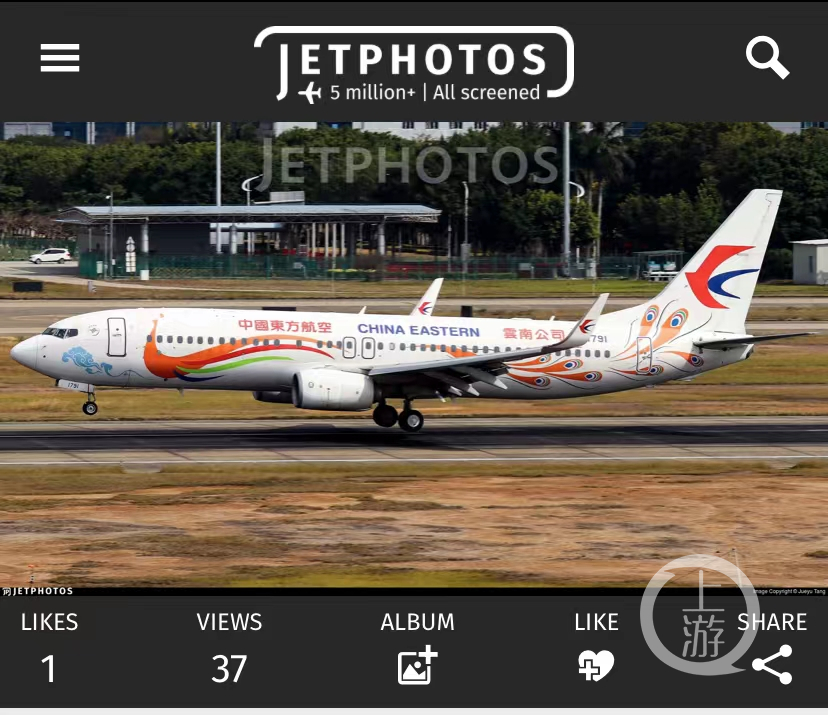 东航停飞全部737-800客机官网变黑白色 第1张