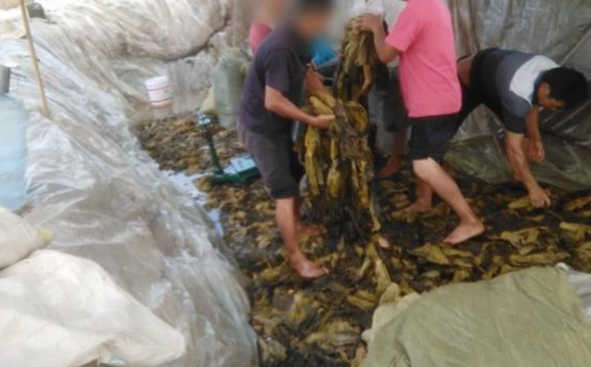 “黑心”老坛酸菜被央视曝光！涉康师傅、统一，相关方便面已下架 第1张