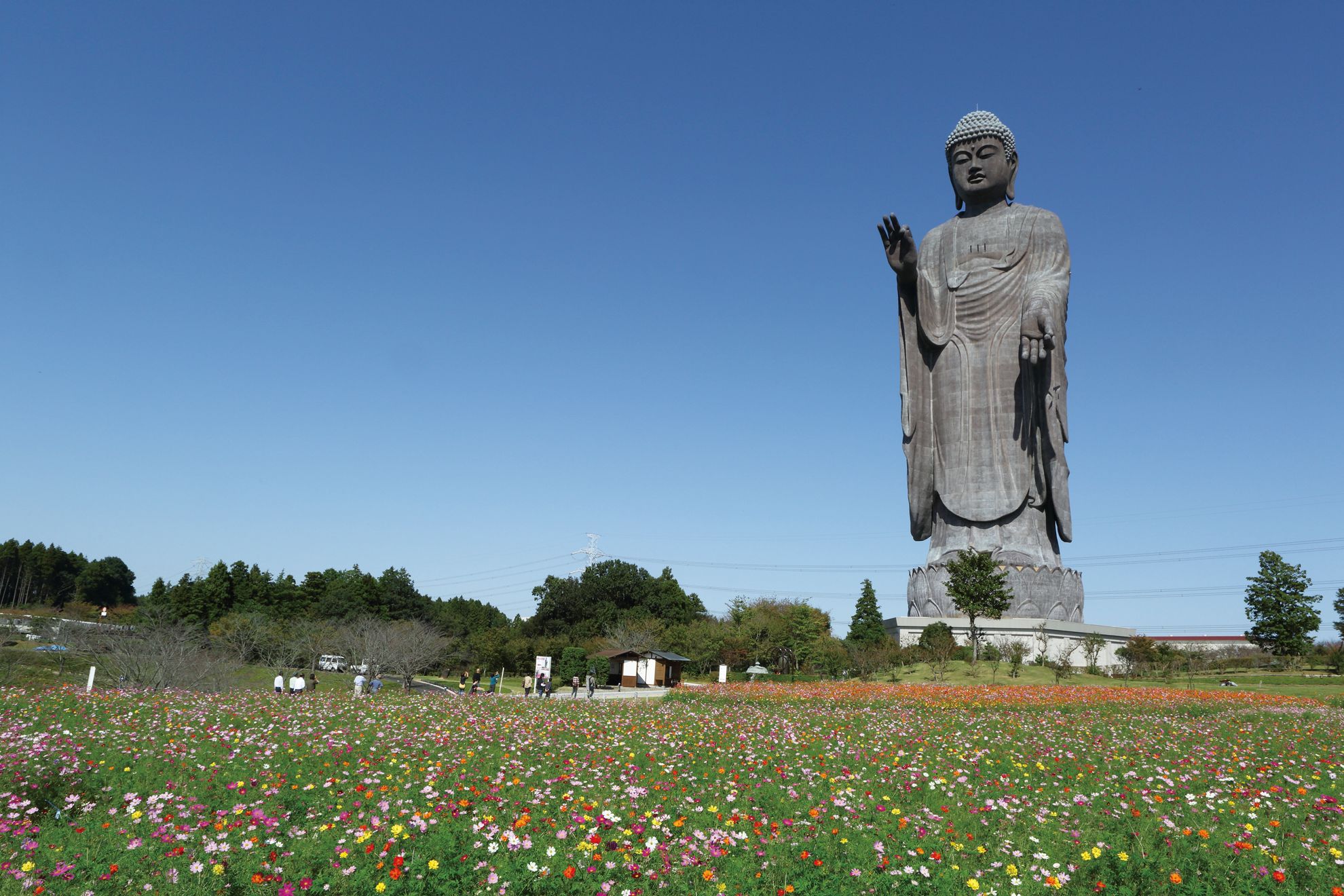 全球最高的9大雕像，中国排名第一占了最多，厉害我的国 第29张