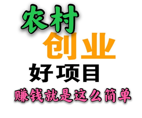 农村创业难赚钱吗？试试这五个项目吧，赚钱真不难 第3张