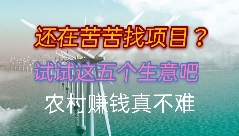 农村创业难赚钱吗？试试这五个项目吧，赚钱真不难 第5张