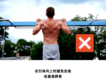 引体向上1个都做不了？教你2个步骤，轻松从0突破到5个 第3张