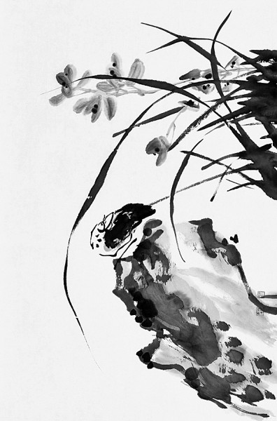 形容兰花的词语和句子（描写兰花的好词好句） 第1张