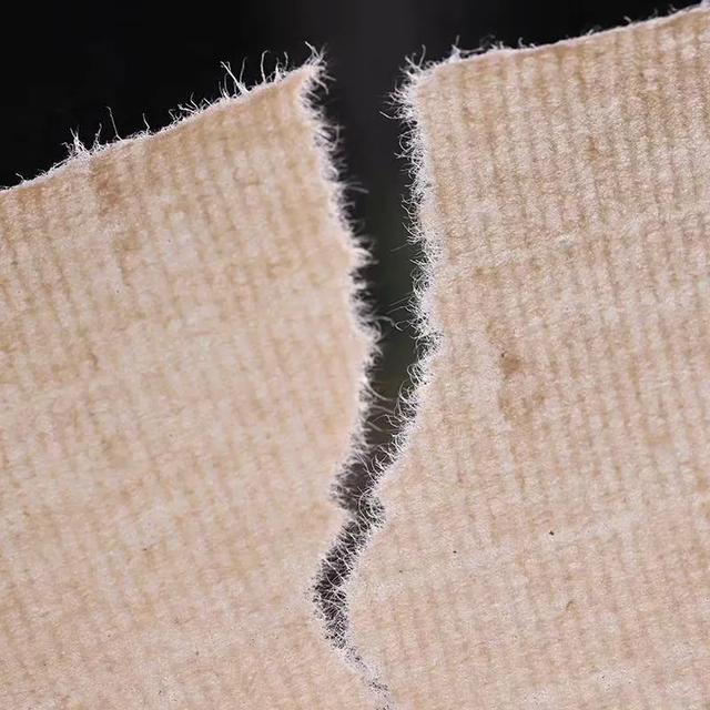 宣纸洇墨怎么办 第3张