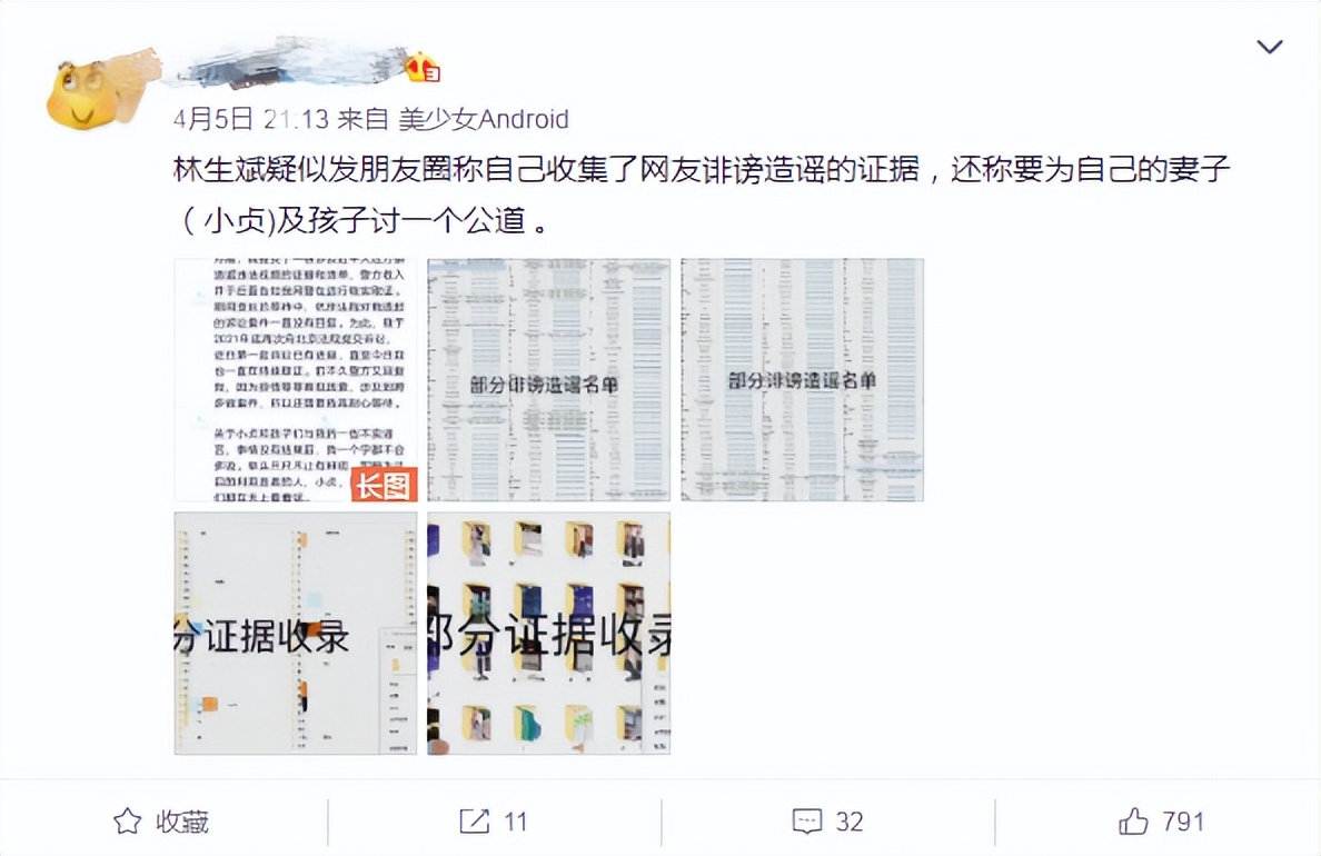 林生斌清明发文祭奠妻儿，晒过万条造谣证据，起诉近千名造谣网友 第1张