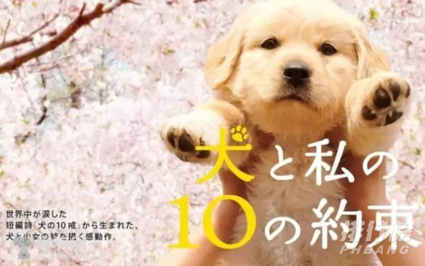 日本治愈电影豆瓣高分 日本温暖治愈系的电影 第1张