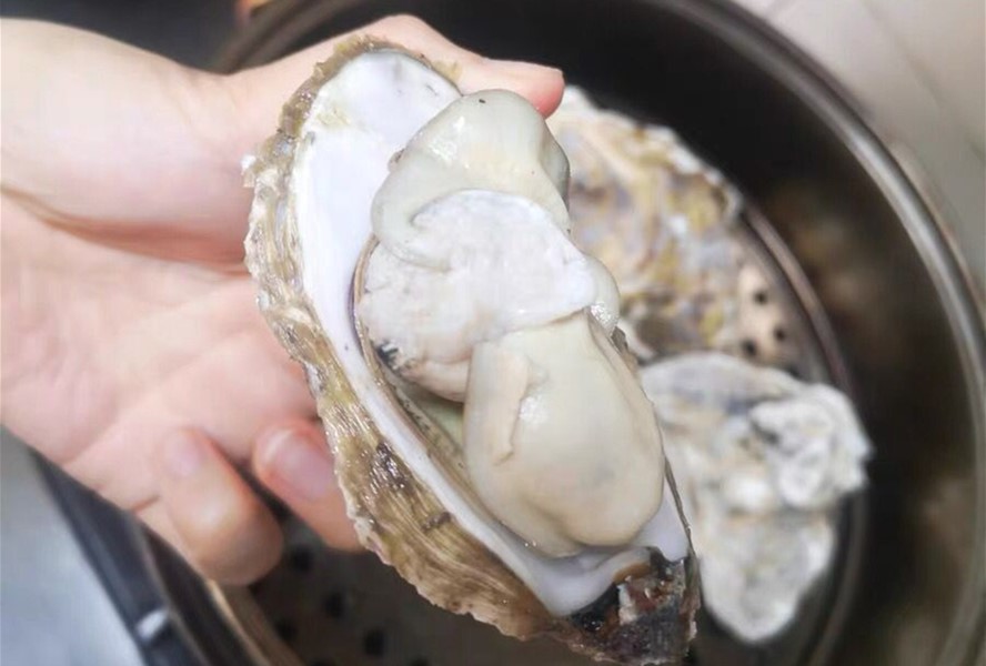 生蚝好吃难清洗？老渔民教你一招，简单干净不伤手，5分钟就搞定 第9张
