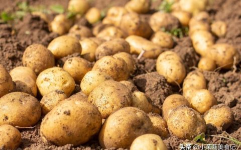 什么东西补钾效果最好（补钾飞快的食物排行榜）