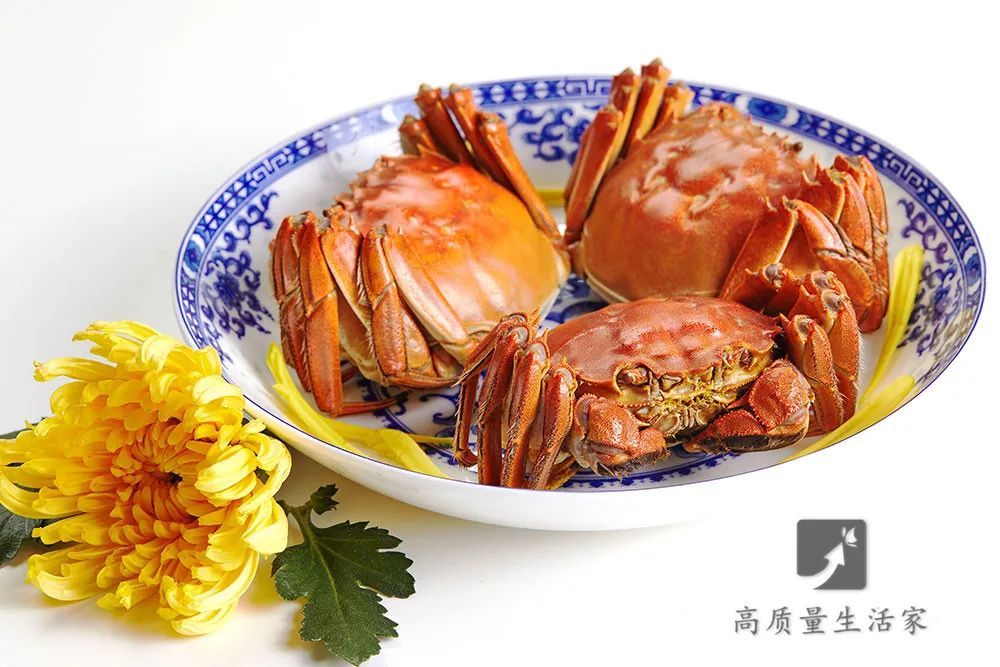 保存螃蟹时，不要放冰箱，学会这一招，放7天仍是鲜活的 第11张