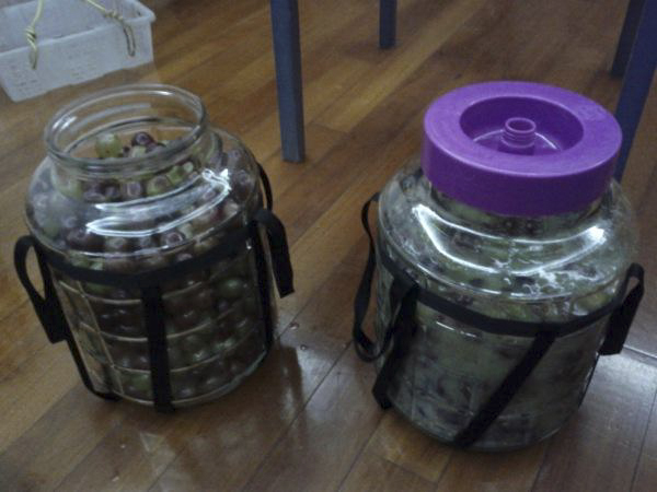 葡萄丰收的季节，何不自酿葡萄酒品味，做法详细教你，美味极了 第13张