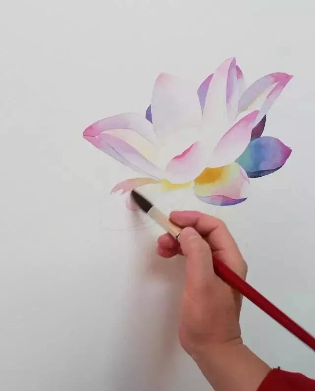 水彩画入门：一个超详细的水彩荷花教程 第141张