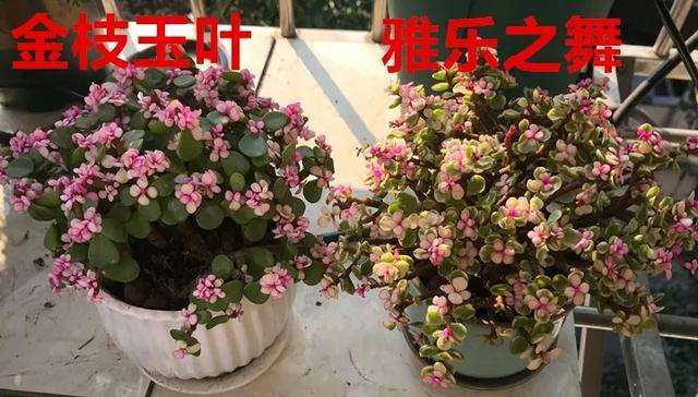 1 第1张