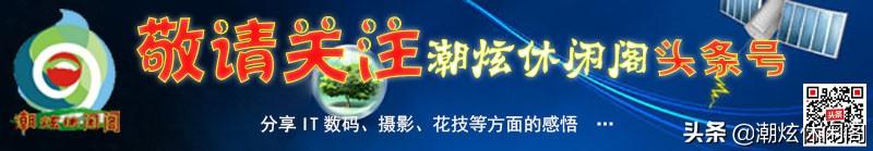 电脑网页中恶意代码自动运行怎样禁止（电脑网页弹出广告如何阻止） 第1张