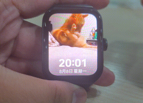 watch3pro功能大全介绍（OPPO Watch 3 Pro全面评测） 第13张