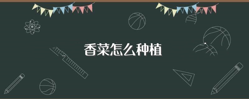 香菜怎么种植（香菜种植技巧） 第1张