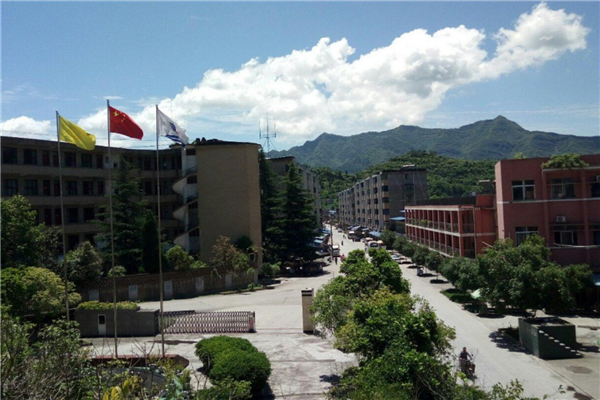 广元市十大公立小学排名榜 广元市重点小学名单 第3张