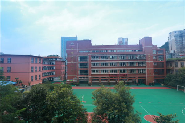 贵阳市十大公立小学排名榜 贵阳重点小学有哪些 第5张