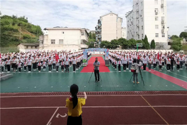 信阳市十大公立小学排名 信阳重点公立小学名单 第15张