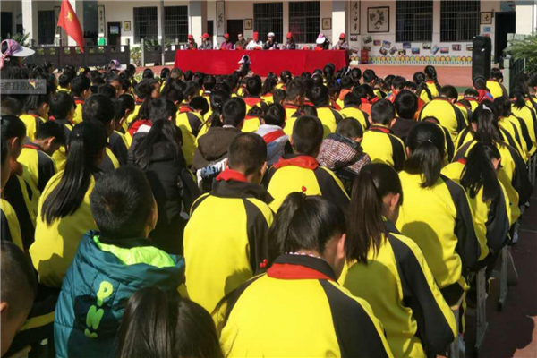 芜湖市公立小学排名 芜湖市十大重点小学名校 第5张