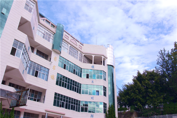 芜湖市公立小学排名 芜湖市十大重点小学名校 第15张