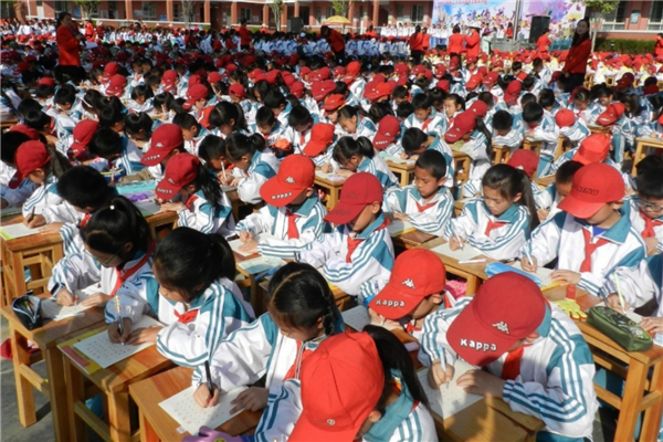 芜湖市公立小学排名 芜湖市十大重点小学名校 第17张