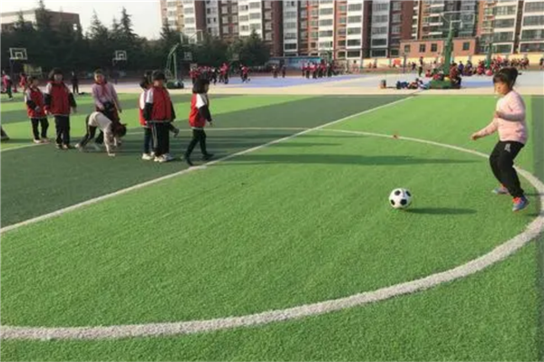 绵阳市公立小学排名榜 绵阳十大重点小学名校 第1张