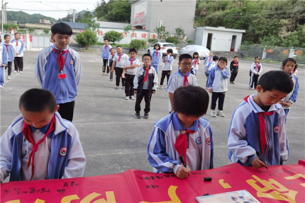 阳江市十大公立小学排名 阳江重点公立小学有哪些 第3张