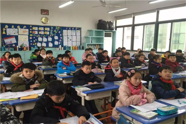 宜宾市十大公立小学排名 宜宾重点小学有哪些 第19张