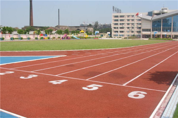 永川市公立小学排名前十 永川重点小学有哪些 第19张
