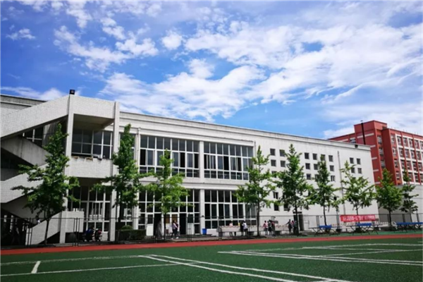 乐山市十大公立小学排名榜 乐山重点公立小学名单 第5张