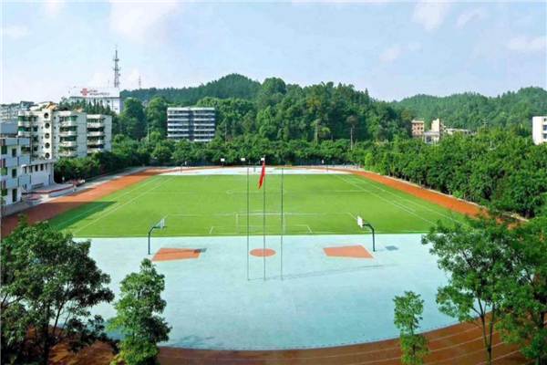 乐山市十大公立小学排名榜 乐山重点公立小学名单 第7张